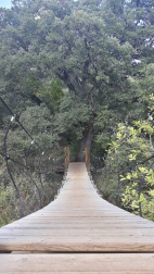 Fotos del otoño, retratado por los lectores de Diariodenavarra.es.