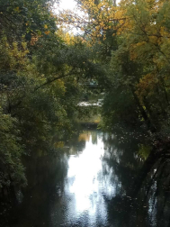 Fotos del otoño, retratado por los lectores de Diariodenavarra.es.
