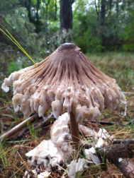 Fotos del otoño, retratado por los lectores de Diariodenavarra.es.