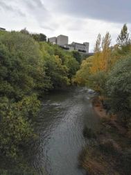 Fotos del otoño, retratado por los lectores de Diariodenavarra.es.