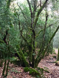 Fotos del otoño, retratado por los lectores de Diariodenavarra.es.