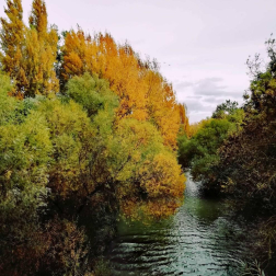 Fotos del otoño, retratado por los lectores de Diariodenavarra.es.