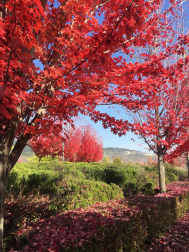 Fotos del otoño, retratado por los lectores de Diariodenavarra.es.