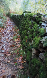 Fotos del otoño, retratado por los lectores de Diariodenavarra.es.