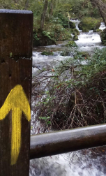 Fotos del otoño, retratado por los lectores de Diariodenavarra.es.