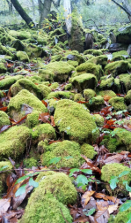 Fotos del otoño, retratado por los lectores de Diariodenavarra.es.