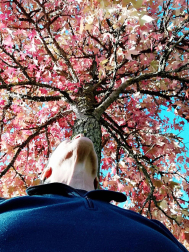 Fotos del otoño, retratado por los lectores de Diariodenavarra.es.