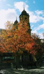 Fotos del otoño, retratado por los lectores de Diariodenavarra.es.