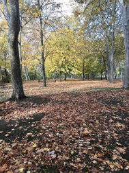 Fotos del otoño, retratado por los lectores de Diariodenavarra.es.
