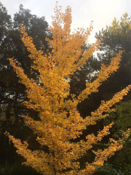 Fotos del otoño, retratado por los lectores de Diariodenavarra.es.