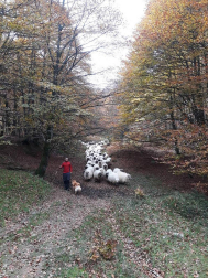 Fotos del otoño, retratado por los lectores de Diariodenavarra.es.