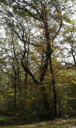 Fotos del otoño, retratado por los lectores de Diariodenavarra.es.