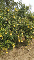 Fotos del otoño, retratado por los lectores de Diariodenavarra.es.