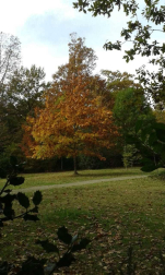 Fotos del otoño, retratado por los lectores de Diariodenavarra.es.