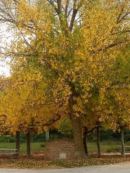 Fotos del otoño, retratado por los lectores de Diariodenavarra.es.