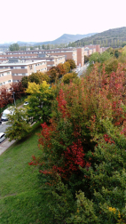 Fotos del otoño, retratado por los lectores de Diariodenavarra.es.