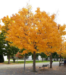 Fotos del otoño, retratado por los lectores de Diariodenavarra.es.