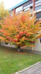 Fotos del otoño, retratado por los lectores de Diariodenavarra.es.