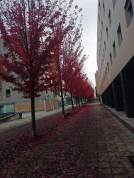 Fotos del otoño, retratado por los lectores de Diariodenavarra.es.