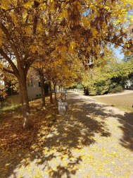 Fotos del otoño, retratado por los lectores de Diariodenavarra.es.