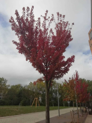Fotos del otoño, retratado por los lectores de Diariodenavarra.es.