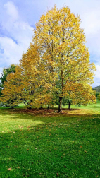Fotos del otoño, retratado por los lectores de Diariodenavarra.es.