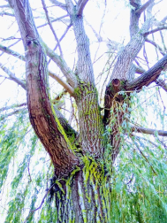 Fotos del otoño, retratado por los lectores de Diariodenavarra.es.