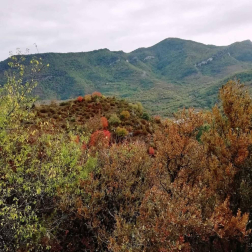 Fotos del otoño, retratado por los lectores de Diariodenavarra.es.