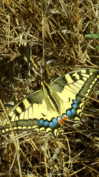 Fotos del otoño, retratado por los lectores de Diariodenavarra.es.