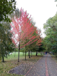 Fotos del otoño, retratado por los lectores de Diariodenavarra.es.