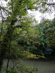 Fotos del otoño, retratado por los lectores de Diariodenavarra.es.