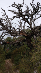 Fotos del otoño, retratado por los lectores de Diariodenavarra.es.