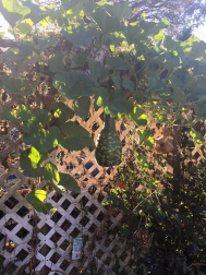 Fotos del otoño, retratado por los lectores de Diariodenavarra.es.