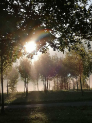 Fotos del otoño, retratado por los lectores de Diariodenavarra.es.