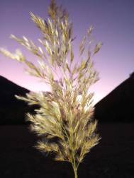 Fotos del otoño, retratado por los lectores de Diariodenavarra.es.