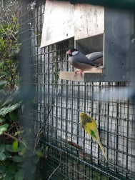 Fotos del otoño, retratado por los lectores de Diariodenavarra.es.
