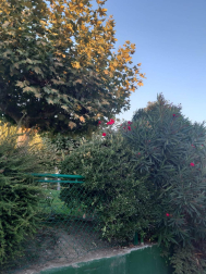 Fotos del otoño, retratado por los lectores de Diariodenavarra.es.