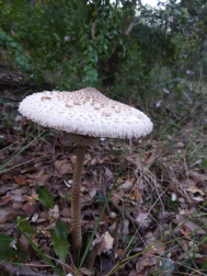 Fotos del otoño, retratado por los lectores de Diariodenavarra.es.