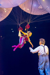 El Circo del Sol regresará a Pamplona en las Navidades de 2020. La compañía representará su espectáculo 'Corteo' en el pabellón Navarra Arena del 25 de diciembre de 2020 al 3 de enero del 2021.