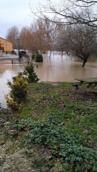 Fotos enviadas por los lectores de Diario de Navarra de las inundaciones de este viernes en Navarra.