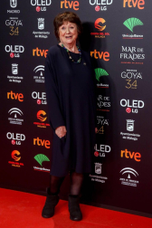 El Florida Retiro de Madrid ha acogido este lunes la celebración de la Fiesta de los Nominados de los Premios Goya 2020.