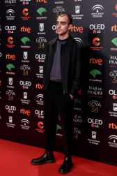 El Florida Retiro de Madrid ha acogido este lunes la celebración de la Fiesta de los Nominados de los Premios Goya 2020.