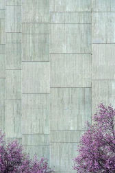 En la entrega de premios se han hecho públicos los 10 ganadores cuyas imágenes ilustran los meses del calendario municipal 2020