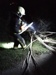 Fotos de las incidencias del viento por la borrasca Elsa en Navarra