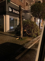 Fotos de las incidencias del viento por la borrasca Elsa en Navarra