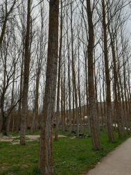 Fotos del invierno enviadas por los lectores de diariodenavarra.es