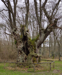 Fotos del invierno enviadas por los lectores de diariodenavarra.es