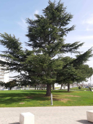 Fotos del invierno enviadas por los lectores de diariodenavarra.es