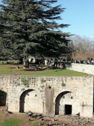 Fotos del invierno enviadas por los lectores de diariodenavarra.es