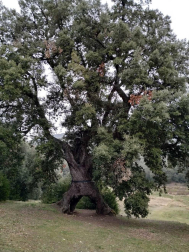 Fotos del invierno enviadas por los lectores de diariodenavarra.es